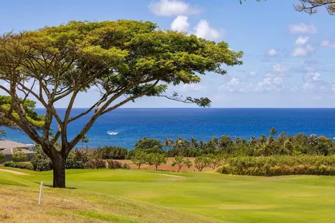 Hiki Moe Pl, Koloa, HI 96756