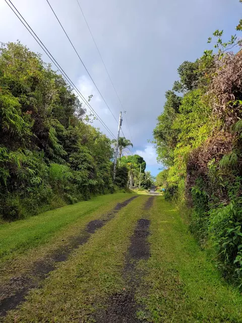 Hawaii St, Mountain View, HI 96771