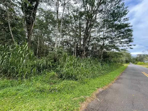 Church Circle, Pahoa, HI 96778