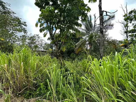 Ohia Dr, Pahoa, HI 96778