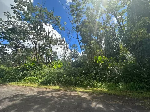 Duff Ln, Pahoa, HI 96778