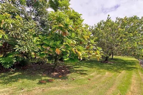 444 Kukuau St # -D, Hilo, HI 96720