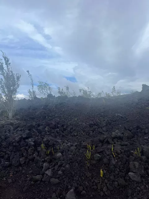 Aloha Blvd, Ocean View, HI 96737