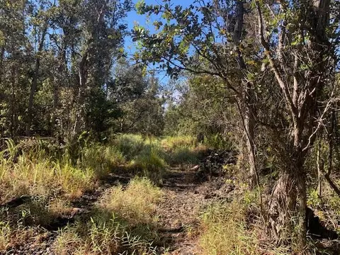 Undisclosed, Naalehu, HI 96737