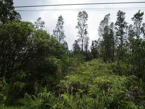 Road 1, Mountain View, HI 96760