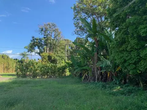 48-5401 Kukuihaele Rd, Honokaa, HI 96727