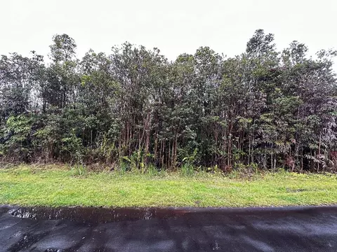 Lehua St, Mountain View, HI 96771