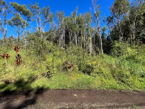 Kona St, Mountain View, HI 96771