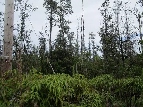 Road 6, Mountain View, HI 96760