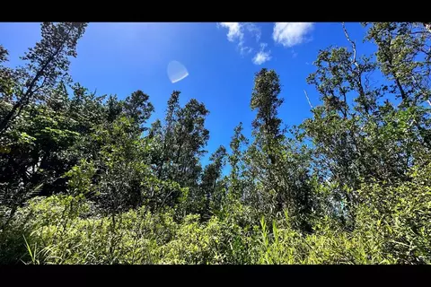 Kiele St, Kurtistown, HI 96760