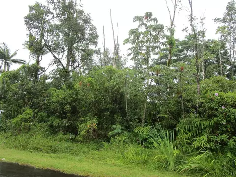 Ginger Ln, Pahoa, HI 96778