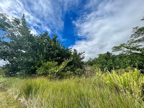 Beach Rd, Keaau, HI 96749
