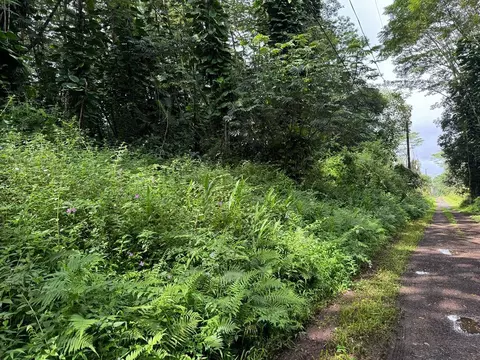 pakalana rd LOT 431, Pahoa, HI 96778