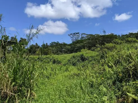 Lava Tree Rd, Pahoa, HI 96778