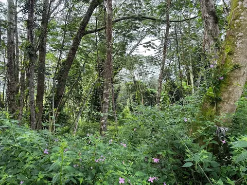 Niihau Rd, Pahoa, HI 96778