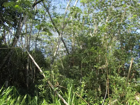 Paradise Dr, Keaau, HI 96749