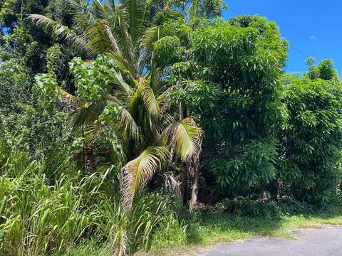 12-7010 Kekaikolo St, Pahoa, HI 96778