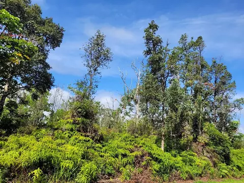 Lai St, Pahoa, HI 96778