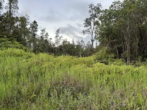 11-3028 Pikake St, Mountain View, HI 96771