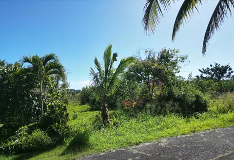 12-7043 Lawaianui St, Pahoa, HI 96778