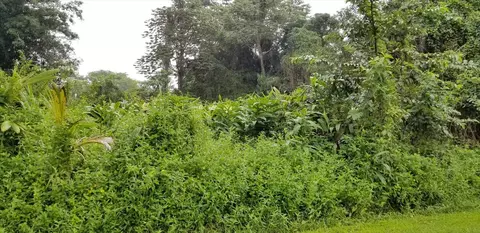 Hinalea St, Pahoa, HI 96778