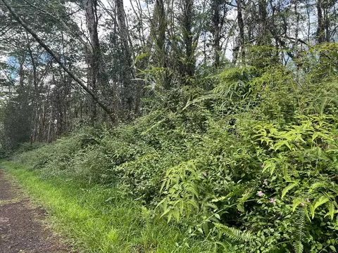 Plumeria Rd, Pahoa, HI 96778