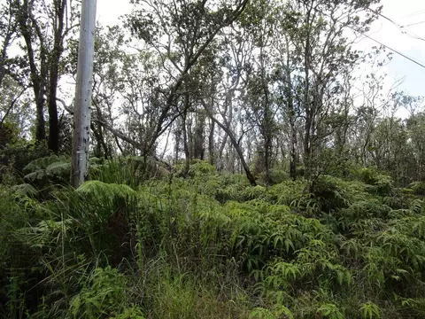 Kahaualea Rd, Volcano, HI 96785