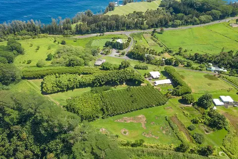 28-1829 Old Mamalahoa Hwy, Honomu, HI 96728