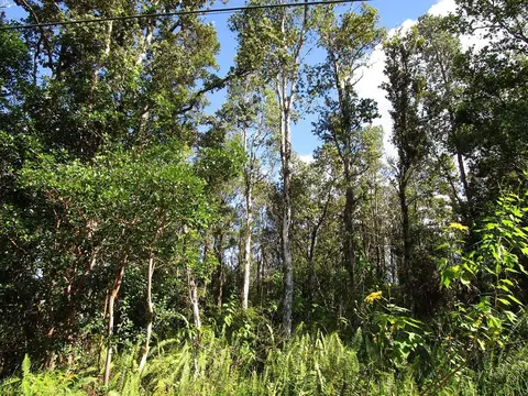Cook St, Pahoa, HI 96778