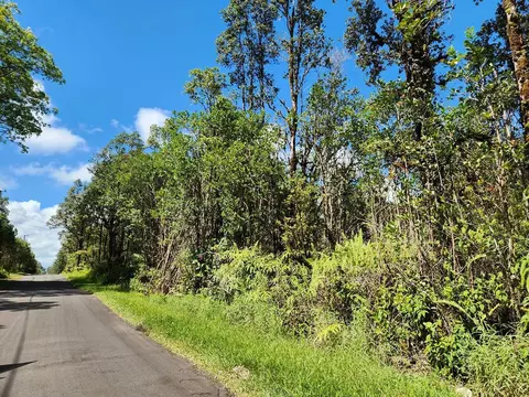 Pikake St, Mountain View, HI 96771