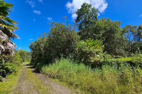 Kukui Pl, Mountain View, HI 96771