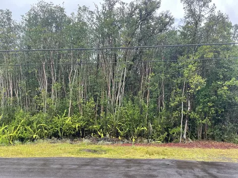 Lehua St, Mountain View, HI 96771