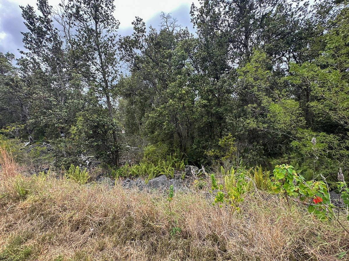 92-8827 Paradise Pkwy  