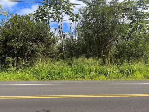 16-1719 Moho Rd, Mountain View, HI 96760