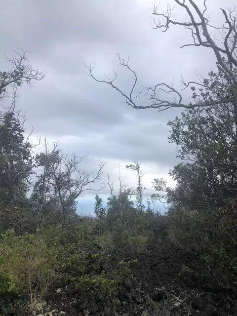 Bamboo Ln, Ocean View, HI 96737