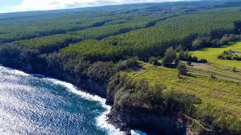43-3804 Wiliko Rd, Paauilo, HI 96776