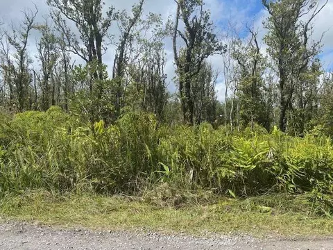 Omeka Rd, Volcano, HI 96785