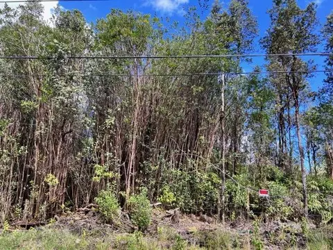 Lehua St, Mountain View, HI 96771
