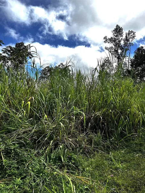 14-721 Seaview Rd, Pahoa, HI 96778