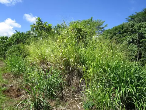 Undisclosed, Hilo, HI 96720