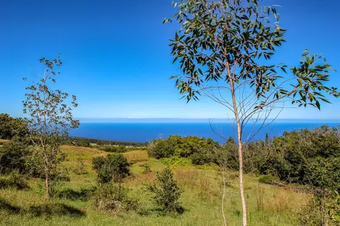 36-772 Spencer Rd, Laupahoehoe, HI 96764