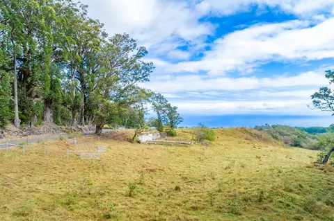 43-1935 Pohakea Mauka Rd, Paauilo, HI 96776
