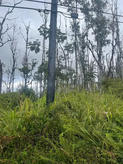 16-2147 Kuhio Dr, Pahoa, HI 96778