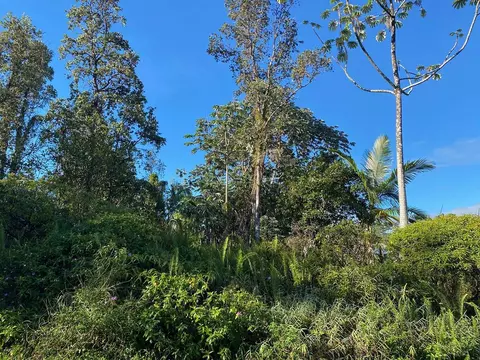 16-2074 Silveroak Dr, Pahoa, HI 96778