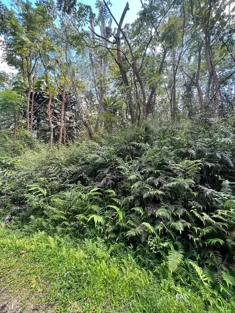 Hawaii Rd, Pahoa, HI 96778