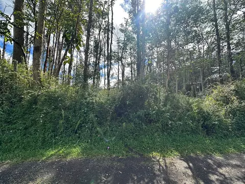 Hawaii Rd, Pahoa, HI 96778
