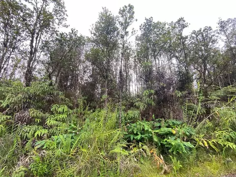 Pilo St, Mountain View, HI 96771