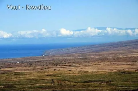 Undisclosed, Kamuela, HI 96743