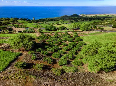 81-6614 Hiaaiono Pl, Kealakekua, HI 96750