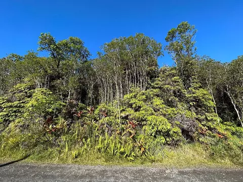Road 8, Volcano, HI 96785